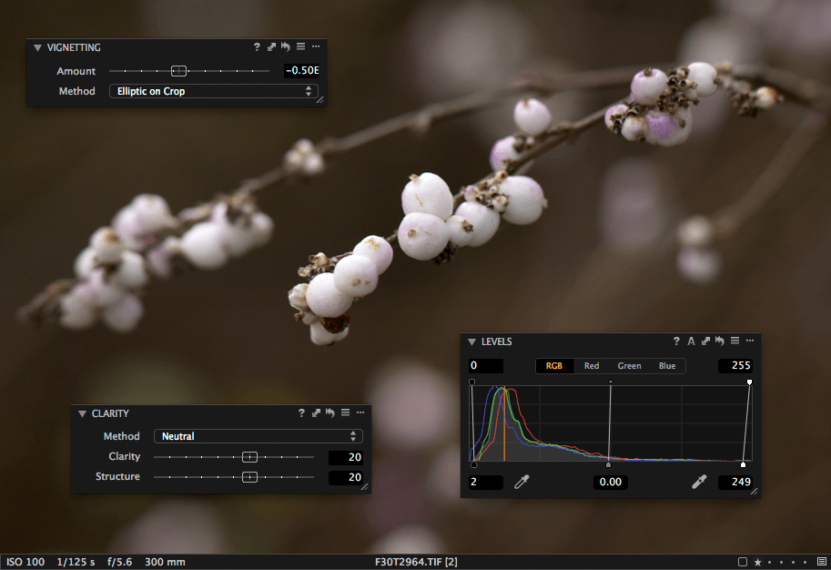 screenshot of Clarity, Levels and Vignetting tool in Capture One