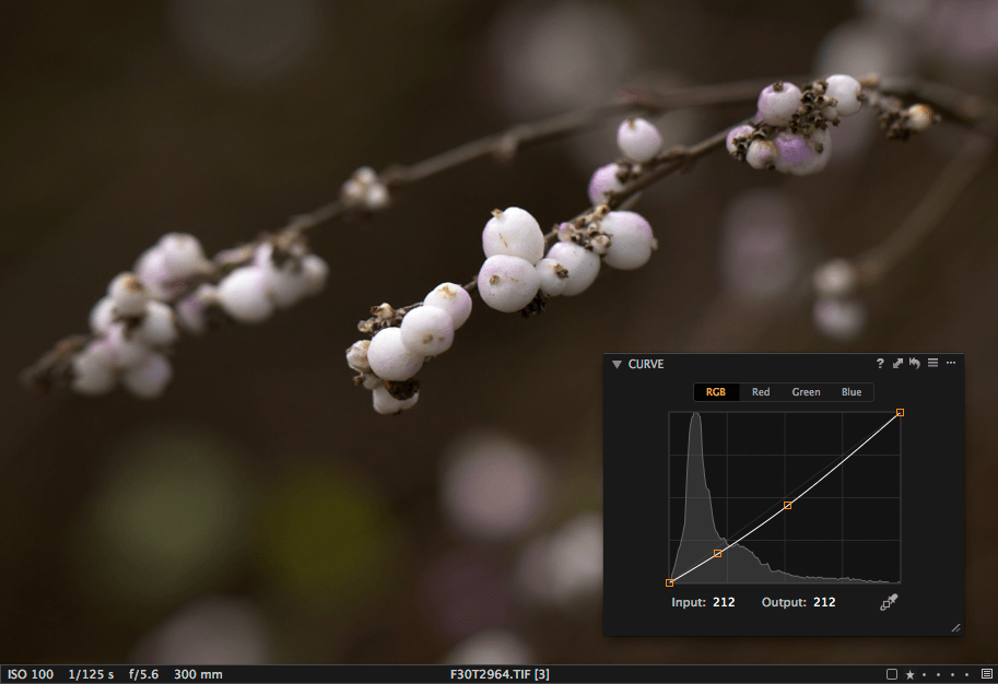 screenshot of Curve tool in Capture One, create your atmosphere with curves
