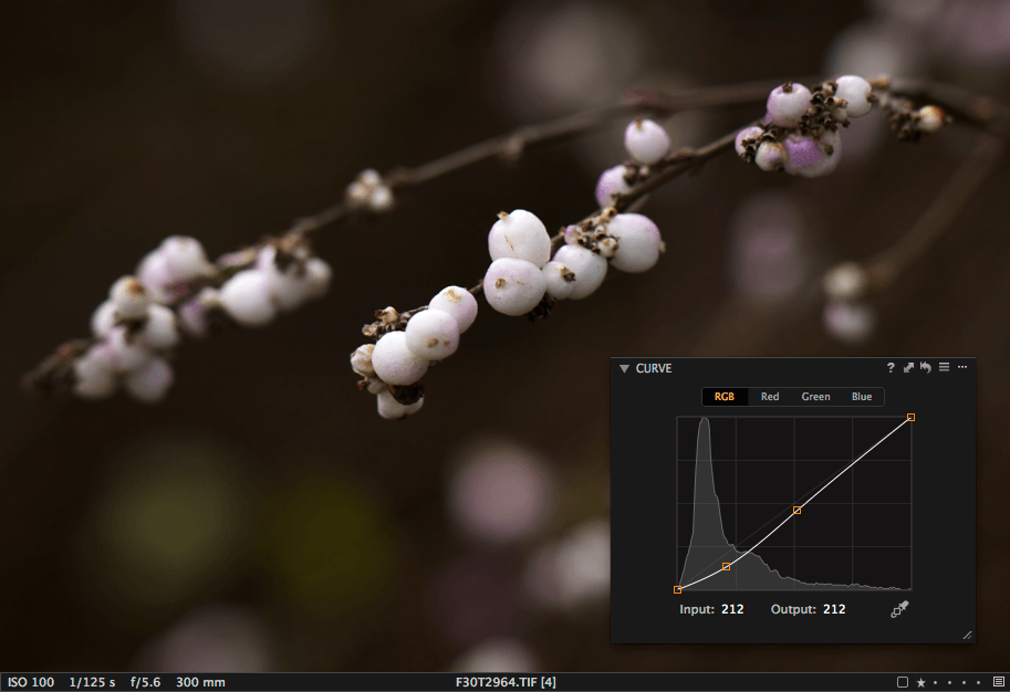 Capture One preview with Curve tool, create your atmosphere with curves