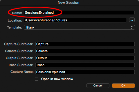 new session dialog