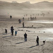 midwinter beach, with vignette