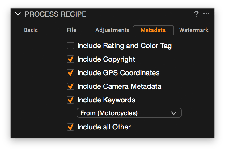 Capture One, Process Recipe, Metadata tab