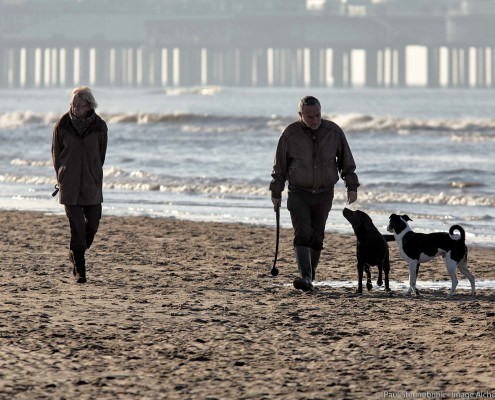 With wife and dogs on the beach