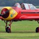 Yak-52 airplane just after landing on grass