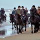 black horses on Dutch beach