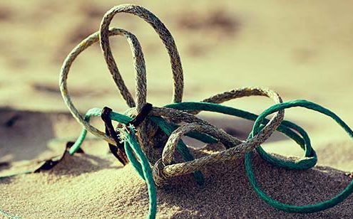 phase one exclusive styles, rope at beach, cool color