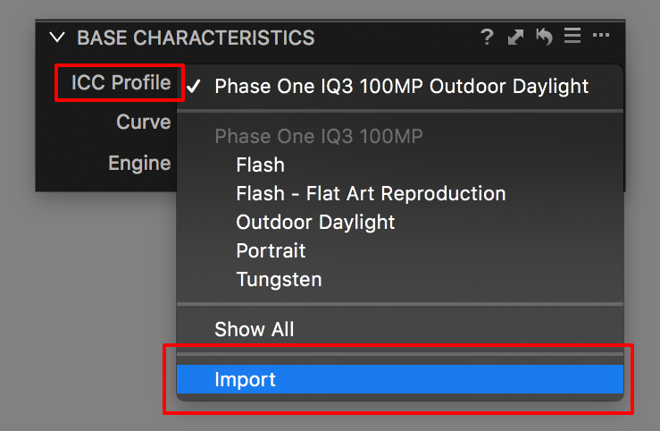 Capture One Styles Install Flash