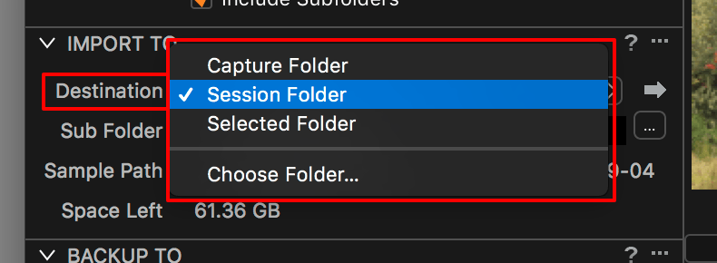 importing images into capture one, import to session, destination