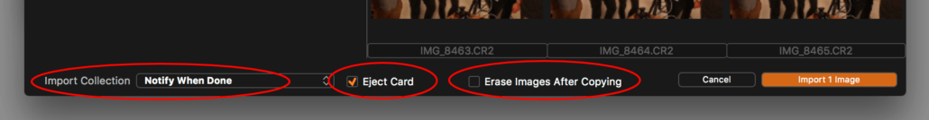 importing images into capture one, open collection