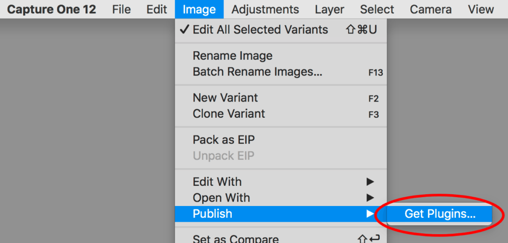 Capture One Pro 12 Review • Image Alchemist