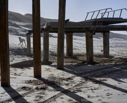 dog at construction on beach, fix a session file, capture one 20