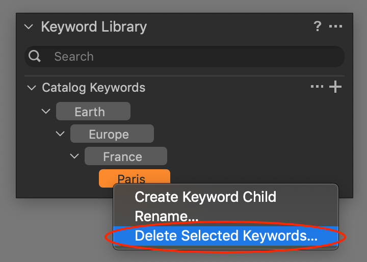 delete keyword from library with keyword library, capture one 20
