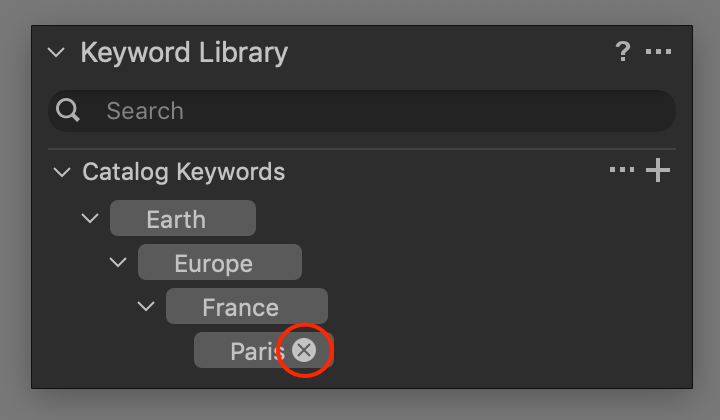 remove keyword from image with keyword library, capture one 20